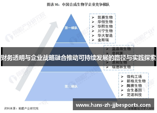 财务透明与企业战略融合推动可持续发展的路径与实践探索